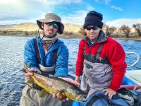 chimehuin river brown trout on streamers