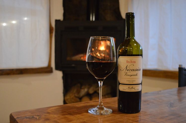 Disfruta de un buen vino junto al calor de la estufa en nuestro Lodge.