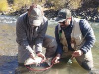 Fly fishing picture