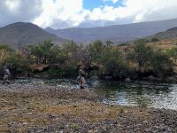 Fly fishing picture