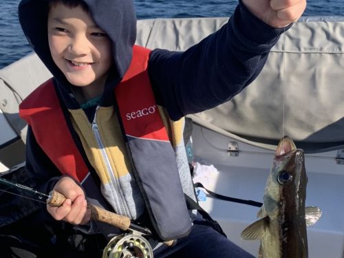 https://fishinginireland.info/2022/sea-reports/young-angler-converted-to-saltwater-fly-on-cork-harbour/