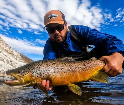 Fly-fishing Pic of Brown trout shared by Pierre Lainé – Fly dreamers