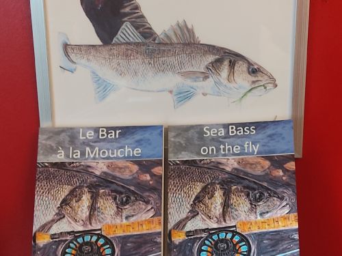 Fly fishing book. Hello everyone, my name is Flavien Malemprée, I live in
France in Normandy near the landing beaches of the second world war.I have been a passionate sports fisherman for more than 30
years and I have been fishing for trout, pike and m...