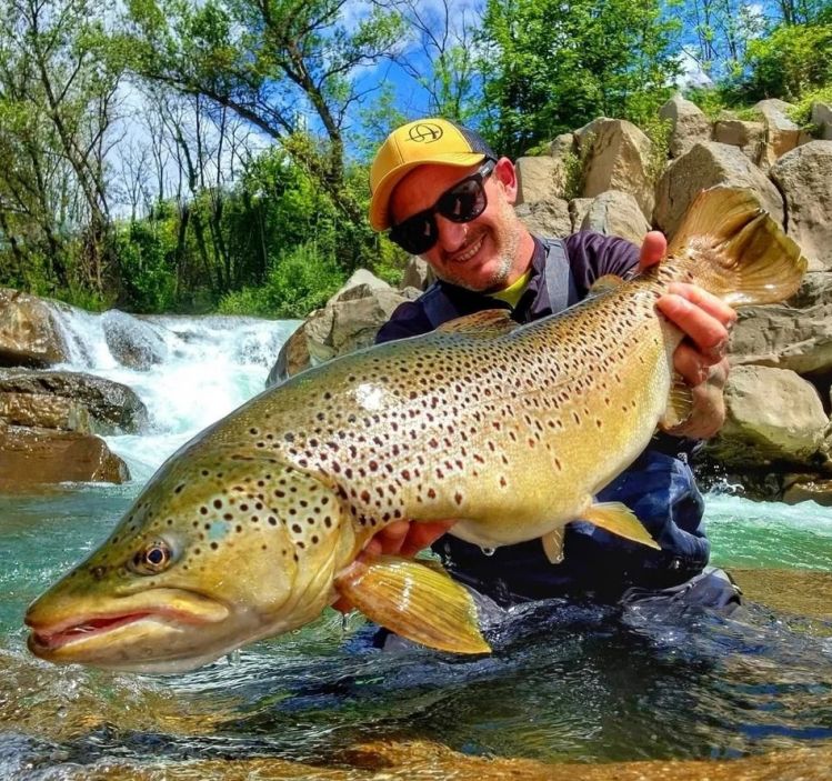 Brown trout from Catalonia "secret place"