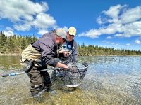 Fly fishing picture