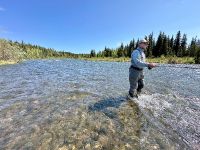 Fly fishing picture