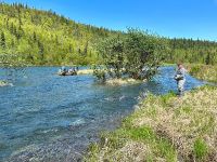 Fly fishing picture