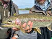 Fly fishing picture