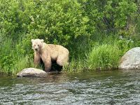 Fly fishing picture