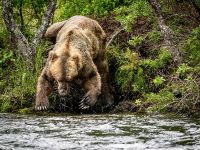 Fly fishing picture