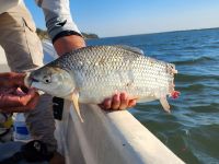 Foto de pesca con mosca