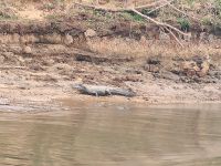 Foto de pesca con mosca