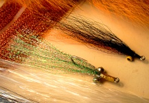 Clouser Minnow