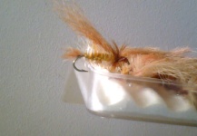 "Original" Norm Wood Special Golden Stonefly