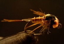 Sulphur on a Jig Hook