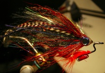 Weedless Optic Minnow feat. Brad Bohen