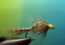 Babble Mayfly Emerger