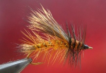 Stimulator fly