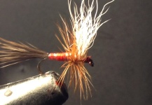 Float E-Caddis