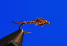 Pheasant Tail