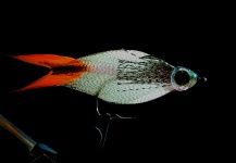 M.M. Silver Mojarra