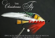 THE CHRISTMAS FLY