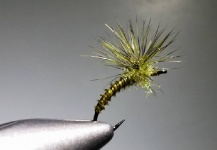 BWO X emerger