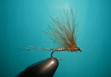 Self Split hackle fly