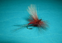 Hook bent fly