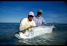 Tarpon