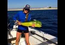 Dorado - Mahi Mahi