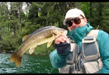 Patagonia Bass