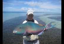 Parrotfish