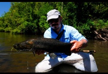 Blue Wolf Fish