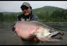 Cherry Salmon - Masu Salmon