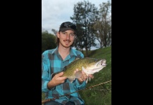 Murray Cod