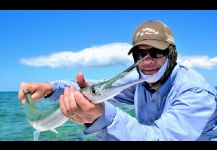 Needlefish