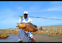 Cubera snapper