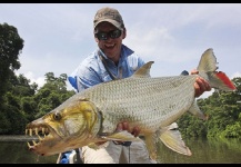 Tigerfish Goliath