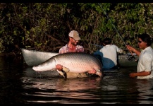 Arapaima