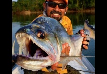 Payara