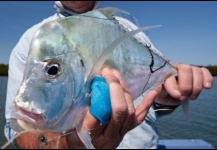 Diamond Trevally