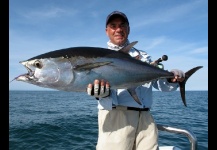 Longtail Tuna