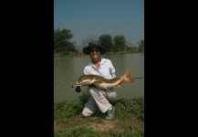 Redtail Catfish