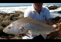 Whitemouth croaker