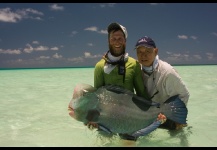 Bumphead parrotfish