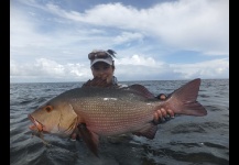 Bohar - Two Spot Red Snapper