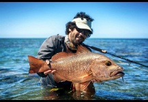 Mangrove Snapper - Gray Snapper