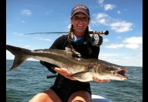 Cobia