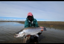 Sea-Trout